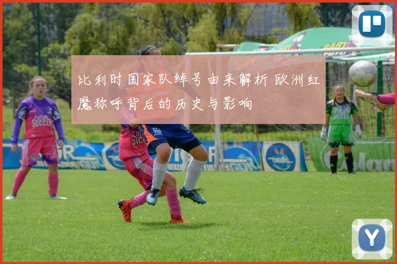 比利时国家队绰号由来解析 欧洲红魔称呼背后的历史与影响