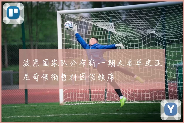 波黑国家队公布新一期大名单皮亚尼奇领衔哲科因伤缺席