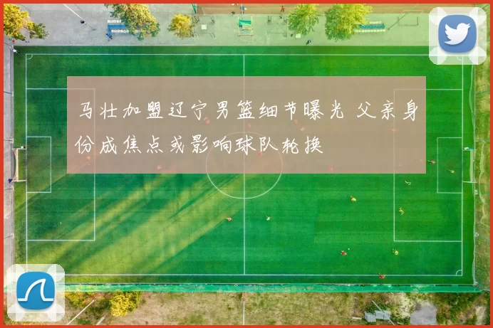 马壮加盟辽宁男篮细节曝光 父亲身份成焦点或影响球队轮换