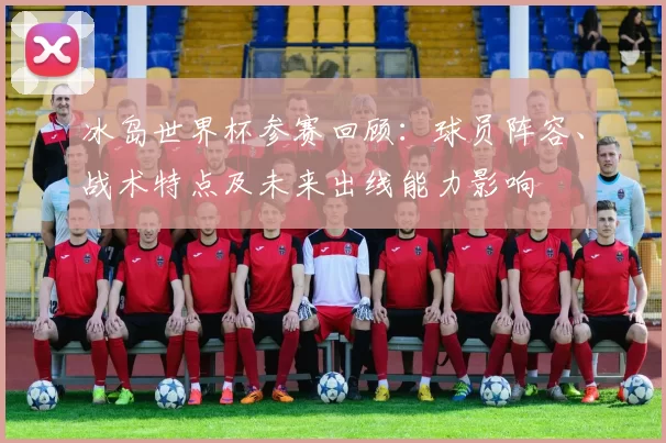 冰岛世界杯参赛回顾：球员阵容、战术特点及未来出线能力影响