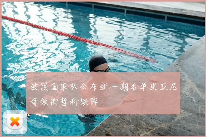 波黑国家队公布新一期名单皮亚尼奇领衔哲科缺阵