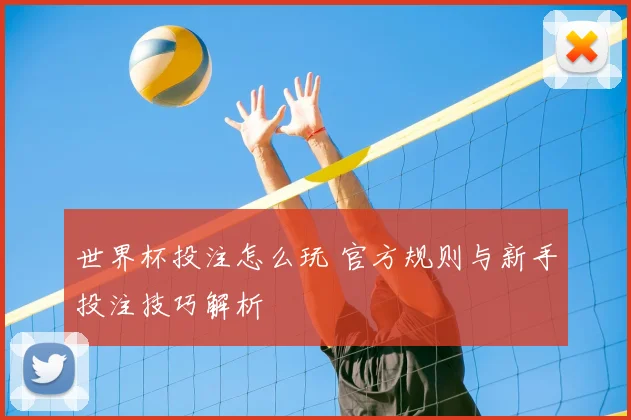 世界杯投注怎么玩 官方规则与新手投注技巧解析