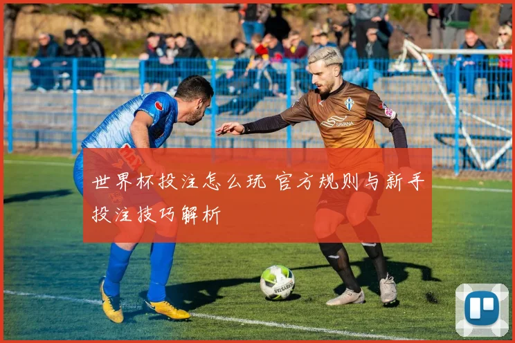 世界杯投注怎么玩 官方规则与新手投注技巧解析